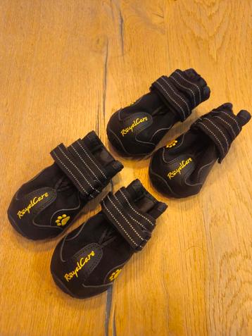 Hondenschoenen beschikbaar voor biedingen