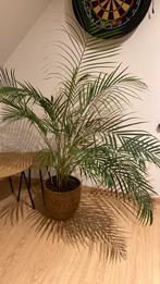 Plant GRATIS af te halen, Enlèvement