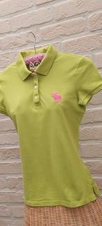 Polo maat s abercombie & fitch, Kleding | Dames, T-shirts, Ophalen of Verzenden, Zo goed als nieuw, Korte mouw, Maat 36 (S)