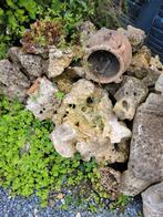 Zeer mooie Maanstenen, Dieren en Toebehoren, Ophalen, Zo goed als nieuw, Plant(en), Steen of Hout