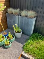 2 hoge plantenbakken betonlook, Ophalen, Gebruikt, 60 tot 100 cm, 60 cm of meer