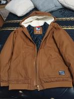 Winterjas, Vêtements | Hommes, Vestes | Hiver, Enlèvement