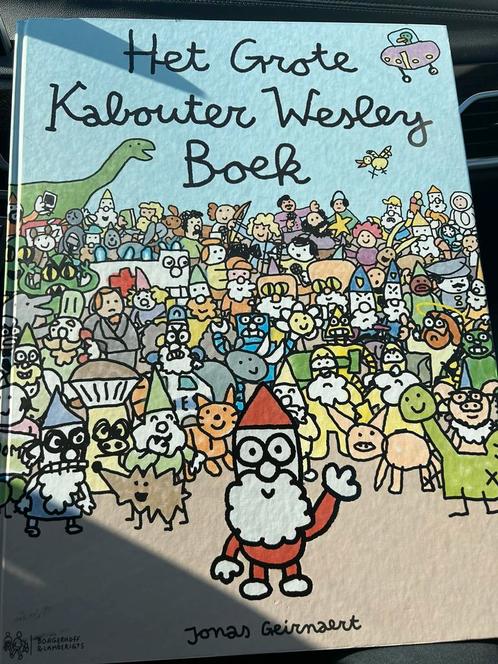Geirnaert - Grote kabouter Wesley boek, Boeken, Stripverhalen, Ophalen