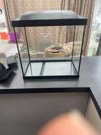 Aquarium verre 25 litres, Animaux & Accessoires, Poissons | Aquariums & Accessoires, Enlèvement, Comme neuf