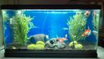 Aquaruim 60l, Animaux & Accessoires, Poissons | Aquariums & Accessoires, Comme neuf, Enlèvement ou Envoi, Aquarium vide