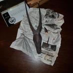 Afrikaanse kunsd, Antiquités & Art, Art | Sculptures & Bois, Enlèvement