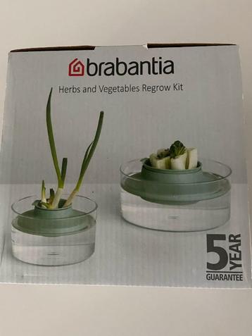 Herbs Regrow Kit