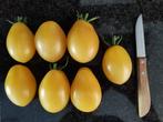 5 zaden tomaat Old Ivory Egg BIO - gele roma tomaat BIO, Tuin en Terras, Bloembollen en Zaden, Verzenden, Voorjaar, Volle zon