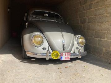VW ovaal 55 beschikbaar voor biedingen