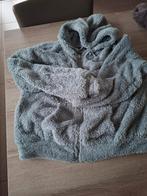 pull, capuche, fermeture éclair, look nounours, petit, Enfants & Bébés, Vêtements enfant | Taille 146, Garçon ou Fille, Enlèvement ou Envoi