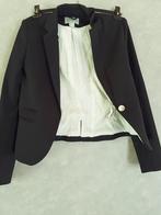 Zwarte blazer H&M maat 34, Vêtements | Femmes, Vestes & Costumes, H&M, Enlèvement ou Envoi, Taille 34 (XS) ou plus petite, Porté