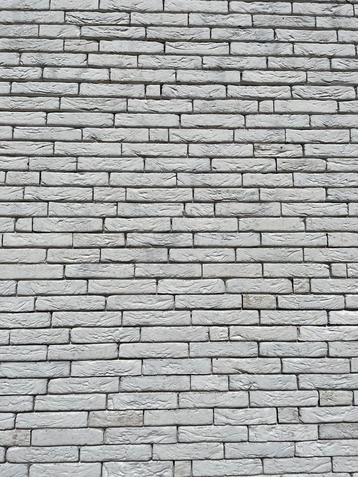 Gevelsteen Nelissen Nevoso beschikbaar voor biedingen