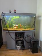 Aquarium 300L COMPLET, Animaux & Accessoires, Poissons | Aquariums & Accessoires, Enlèvement, Utilisé, Aquarium d'eau douce rempli