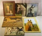 11 Mooie oude grote Fotos van Paarden, Ophalen of Verzenden, Foto, Dier, Zo goed als nieuw