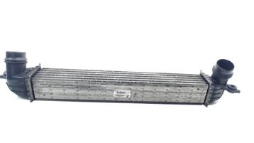 RADIATEUR INTERCOOLER Mini Countryman (R60) (1751850690401) beschikbaar voor biedingen