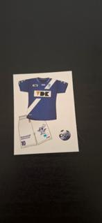 Panini voetbal 2013, Verzamelen