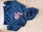 Someone trui hoodie meisje maat 122, Meisje, Trui of Vest, Ophalen of Verzenden, Zo goed als nieuw