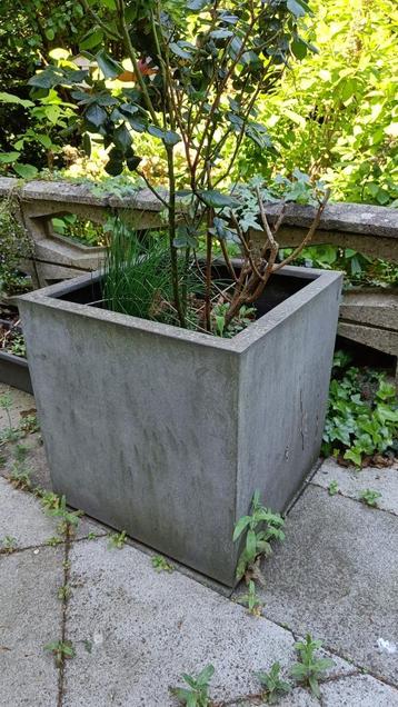 diverse grote bloempotten voor binnen en buiten vanaf 15 eur beschikbaar voor biedingen