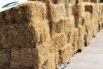 Grote balen stro, Dieren en Toebehoren, Dierenvoeding, Ophalen, Overige soorten