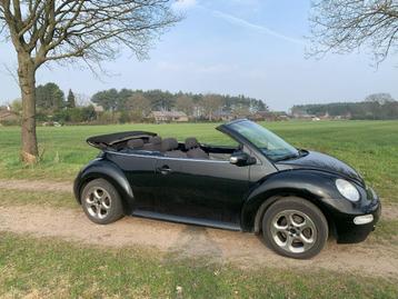 New Beetle Cabrio 1.4, Autos, Achat, 140 g/km, Cabriolet, Boîte manuelle