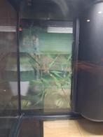 Aquarium 60L, Animaux & Accessoires, Enlèvement