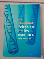 W. Hoekstra - De blauwdruk, Boeken, Ophalen, W. Hoekstra, Zo goed als nieuw