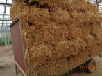 kleine balen  tarwe stro