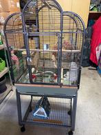 Parkiet kooi, Dieren en Toebehoren, Ophalen, Zo goed als nieuw, Vogelkooi