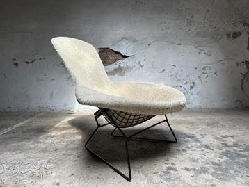 Vintage fauteuil Bird Chair van Knoll beschikbaar voor biedingen