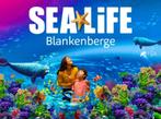Sea life Blankenberge adult, Tickets en Kaartjes, Overige Tickets en Kaartjes