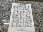 Floskaartjes + druk kaartspel, Antiquités & Art, Art | Eaux-fortes & Gravures, Enlèvement