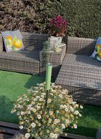 Nieuwe loungeset in wicker, Ophalen, Wicker, Loungeset