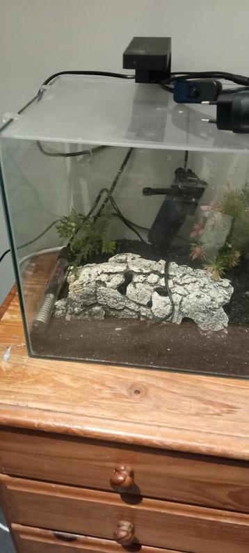 Kleine aquarium, Animaux & Accessoires, Enlèvement, Utilisé