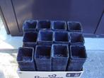 Stekpotjes / Kweekpotjes / Plantenpotjes / 400 stuks, Tuin en Terras, Kweekspullen, Ophalen of Verzenden