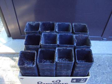Stekpotjes / Kweekpotjes / Plantenpotjes / 400 stuks beschikbaar voor biedingen