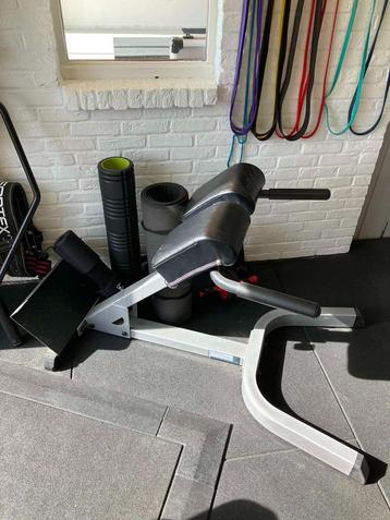 Body Solid Back extension beschikbaar voor biedingen