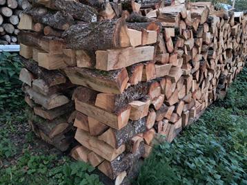 Bois de chauffage sec : chêne 33 cm beschikbaar voor biedingen