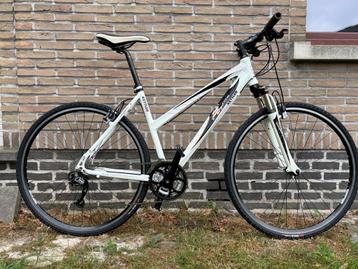  Dames sportfiets kettler beschikbaar voor biedingen