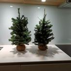 kerstboom, Enlèvement, Utilisé