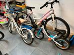 3 bicycles bianchi need small check skog very good, Vélos & Vélomoteurs, Vélos | Vélos pour enfant, Utilisé, Skog and bianchi