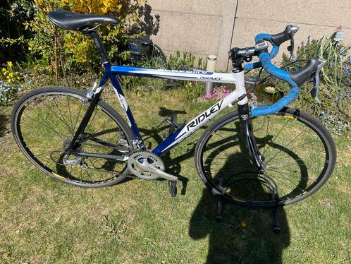 Ridley Pegasus 9-speed shimano 105 mt 57, Fietsen en Brommers, Fietsen | Racefietsen, Gebruikt, Heren, Overige merken, 15 tot 20 versnellingen