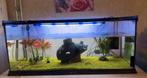 Aguarium 78X35CM met benodigdheden, Enlèvement, Comme neuf