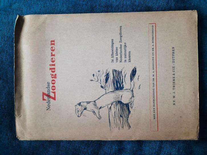 Affiche 1950 Mammifères hollandais, Antiquités & Art, Antiquités | Autres Antiquités, Enlèvement ou Envoi