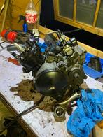 Am6 / db050 blok revisies/ herstel, Fietsen en Brommers, Brommeronderdelen | Algemeen, Ophalen of Verzenden, Nieuw, Blok