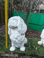 Beeld hond, Tuin en Terras, Ophalen