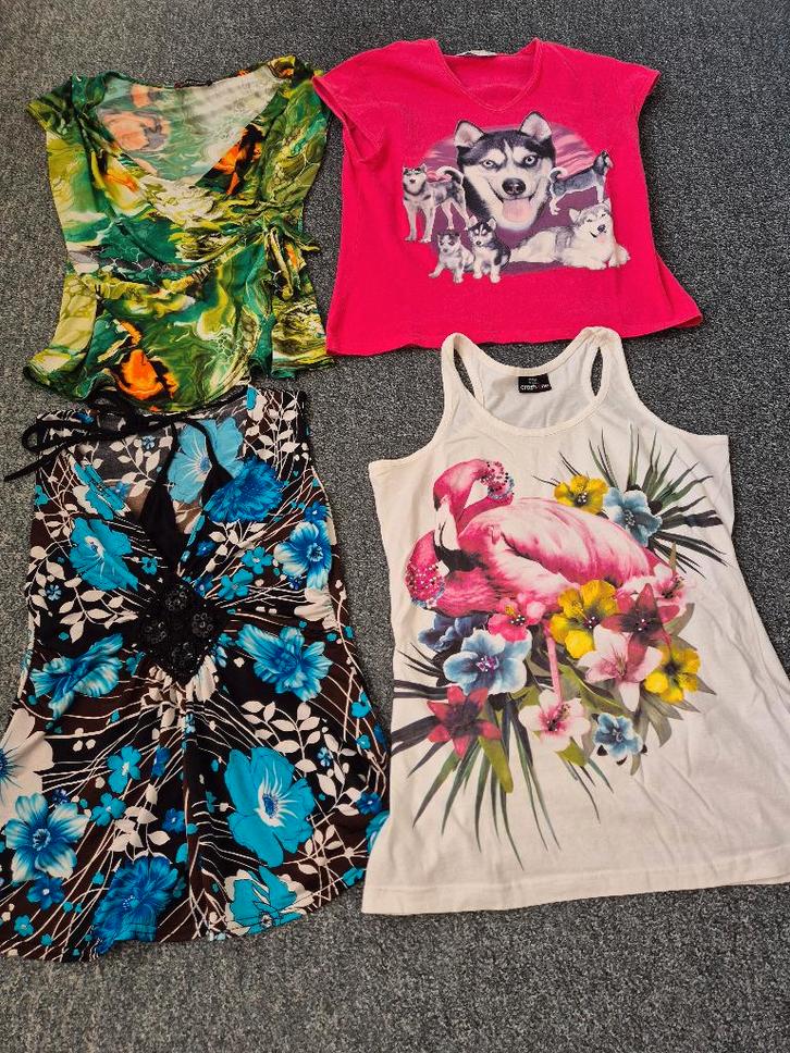 dames zomer tshirts maat m, Kleding | Dames, T-shirts, Zo goed als nieuw, Maat 38/40 (M), Ophalen of Verzenden