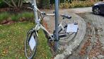 Damesfiets Batavus Weekend, Ophalen, Versnellingen, Batavus, 53 tot 56 cm