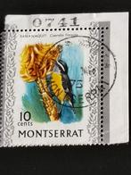 Montserrat 1970-74 - oiseaux - voleur de sucre - avec numéro, Amérique centrale, Affranchi, Enlèvement ou Envoi
