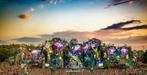 Dagticket Tomorrowland 27/07/2025, Tickets en Kaartjes