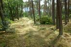 recreatiegrond  te eksel, Immo, Hechtel eksel, 1500 m² of meer